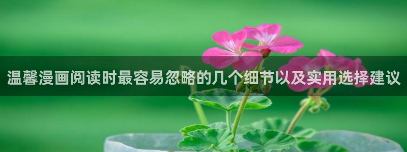 七七漫画阅读页面