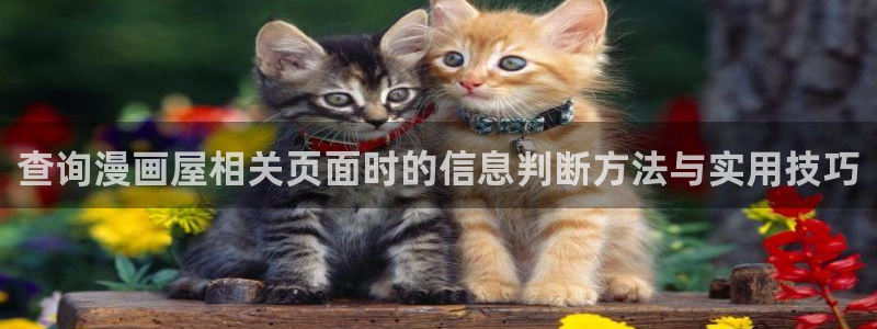 七七漫画漫画查询:查询漫画屋相关页面时的信息判断方法与实用技巧